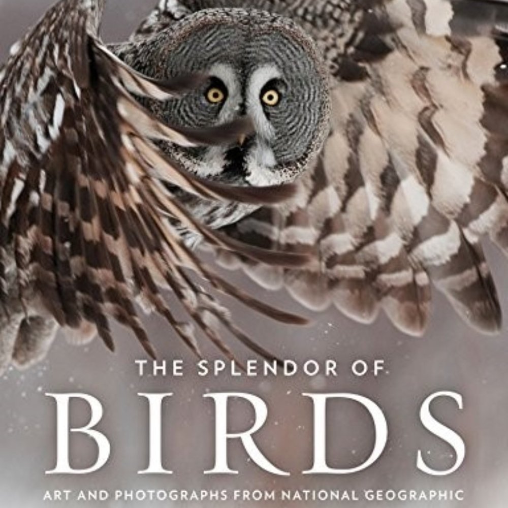 Splendor of Birds: Art and Photographs from National Geographic